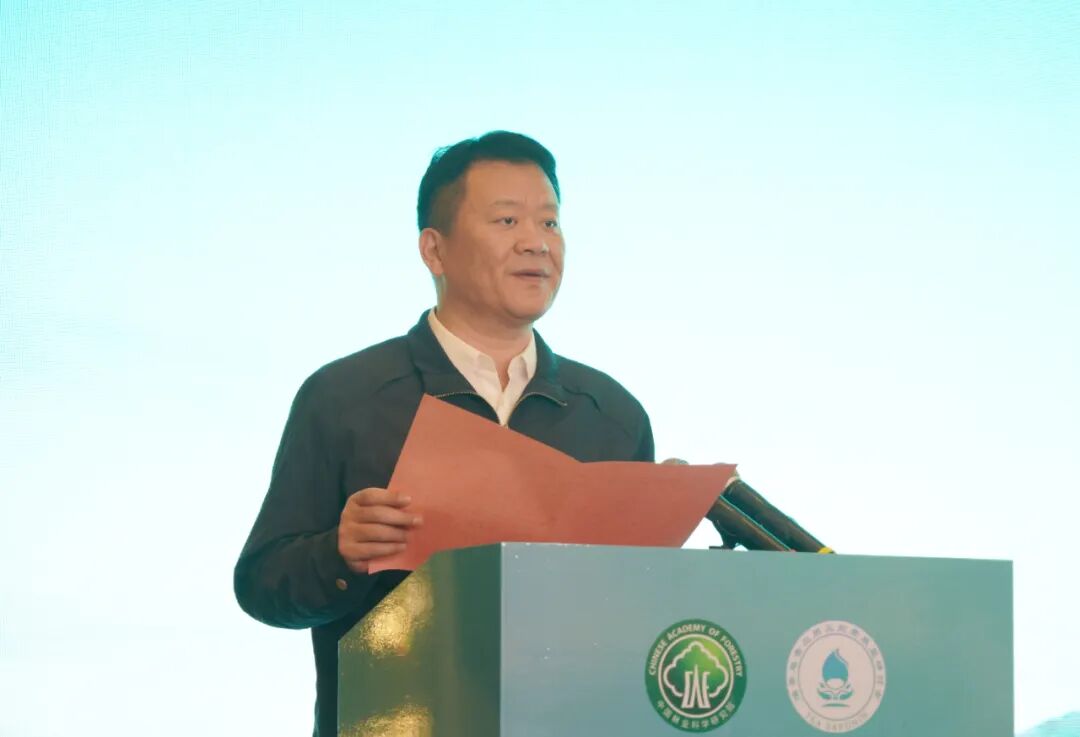 Ͳa(chn)I(y)(chung)(lin)˵ČÌW(xu)g(sh)(hu)ߵڶòؑ(yng)cǰչӑ(hu)Uɽek